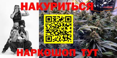 крисы Будённовск