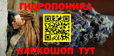 крисы Будённовск